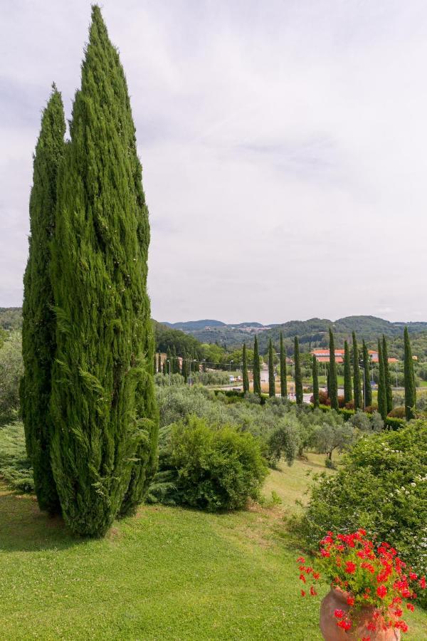Villa Ligustro Riparbella Esterno foto